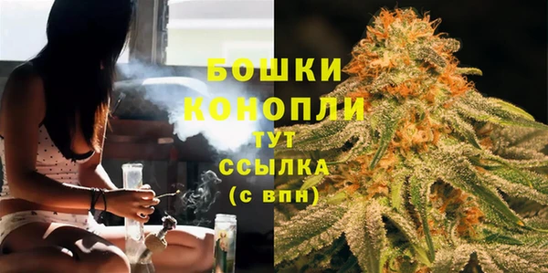 экстази Гусев