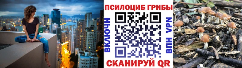 Псилоцибиновые грибы мицелий  Донецк 